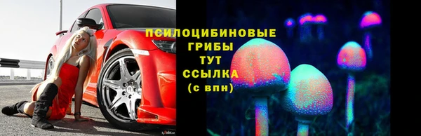 тгк Беломорск