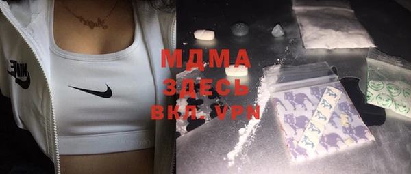 индика Вязьма