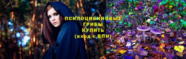 МДПВ Белокуриха