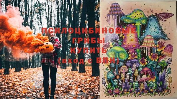 МДПВ Белокуриха