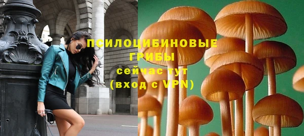 МДПВ Белокуриха