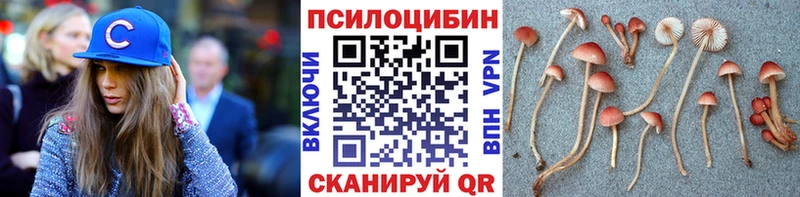 даркнет сайт  Реутов  Псилоцибиновые грибы ЛСД 